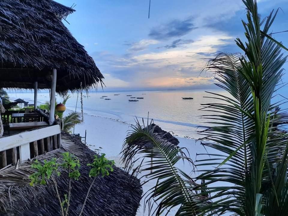 Sweet Beach Apartments Jambiani  Bagian luar foto